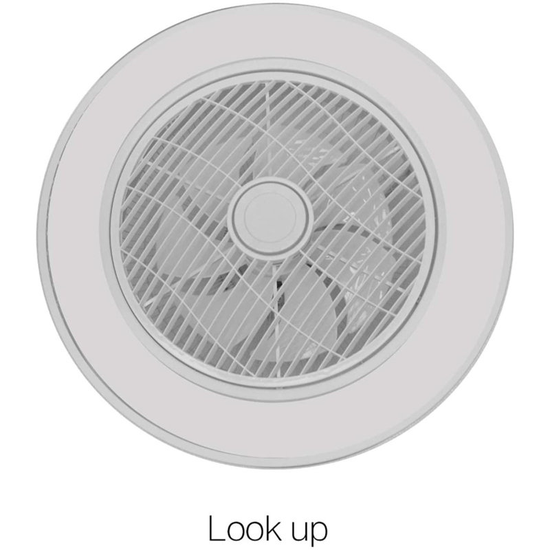 Ivy Bronx Downe 22'' Ceiling Fan with LED Lights & Reviews Wayfair